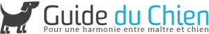 Guide_chien