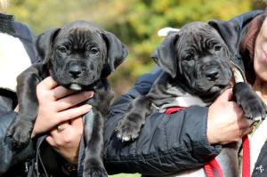 12140963_10207990763395388_3670365797718580850_o